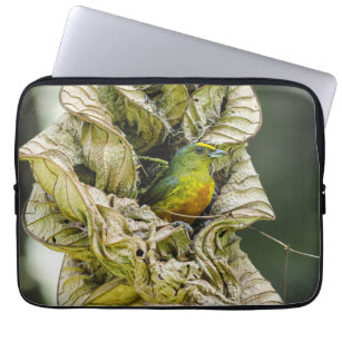 Avian Photography, Olive Backed Euphonia Laptop Sleeve