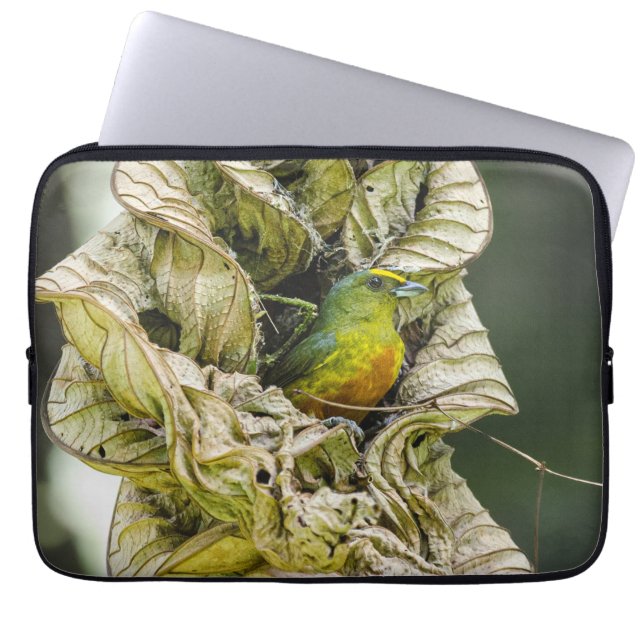 Avian Photography, Olive Backed Euphonia Laptop Sleeve (Front)