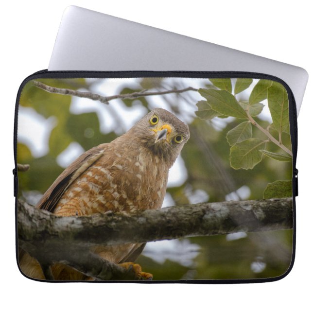 Avian Photography, Roadside Hawk Laptop Sleeve (Front)
