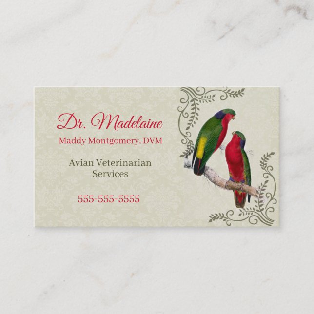 Avian Veterinarian Vintage Parrot Business Card (Front)