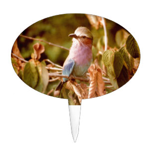 Aviary Cake Topper
