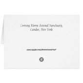 Aviary Cards (Back Horizontal)