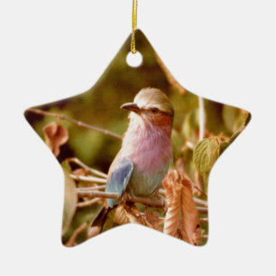 Aviary Ceramic Ornament