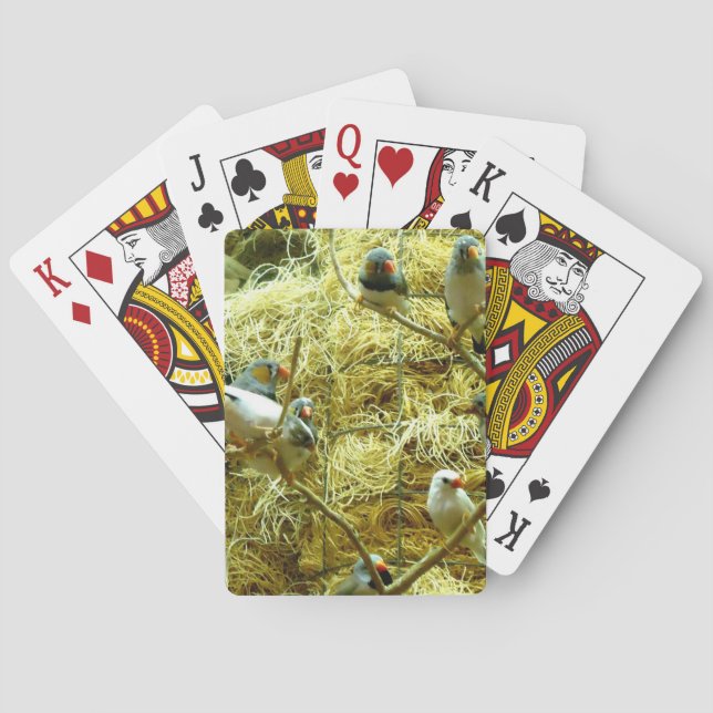 Aviary Enclosure Canaries Up-Close Poker Cards (Back)