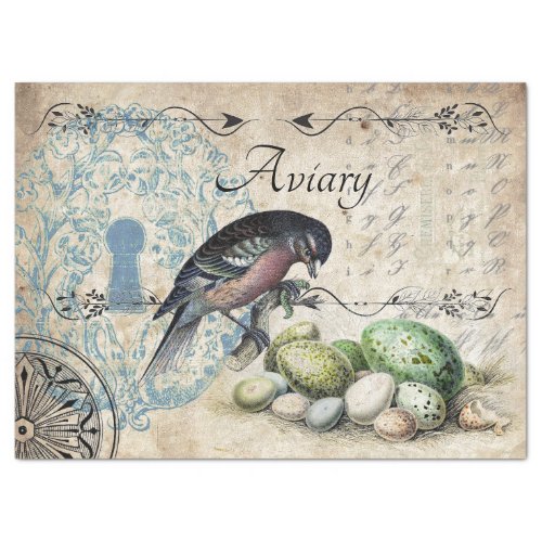 AVIARY VINTAGE BIRD TISSUE PAPER