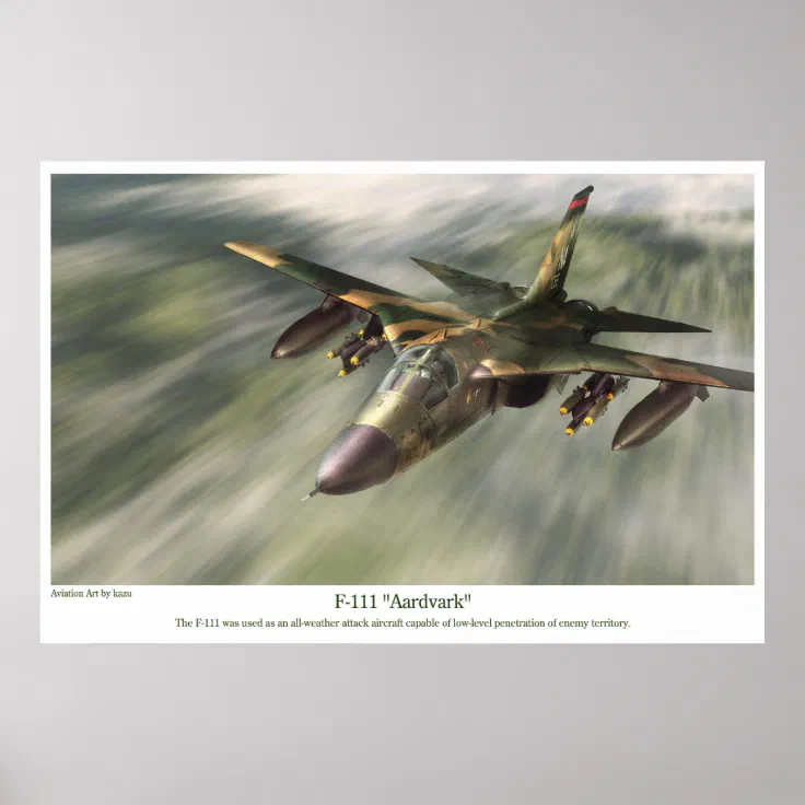 Illustration of an F-111E Aardvark. Poster 【97%OFF!】
