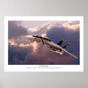 Aviation Art Poster "F-14 Tomcat"