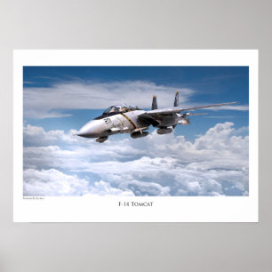 Aviation Art Poster "F-14 Tomcat"