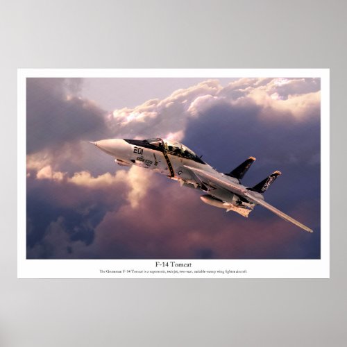 Aviation Art Poster F_14 Tomcat