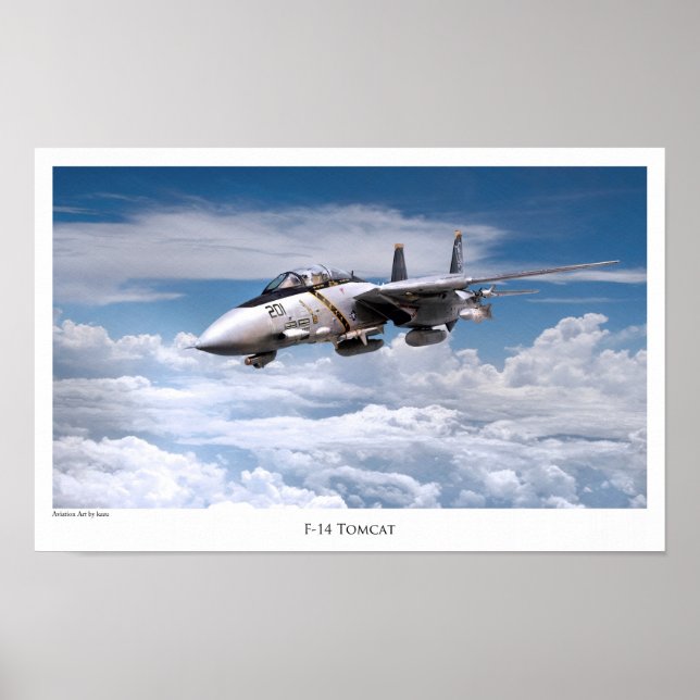 Aviation Art Poster "F-14 Tomcat" (Front)