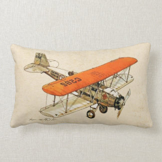 Aviation design lumbar pillow