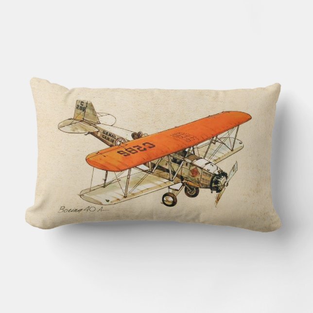 Aviation  design lumbar pillow (Front)