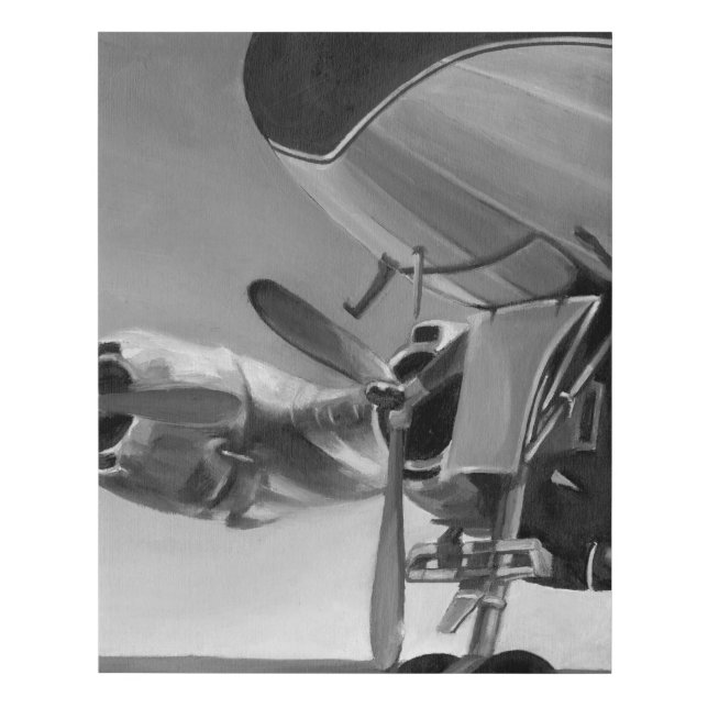 Aviation Icon Faux Canvas Print (Front)