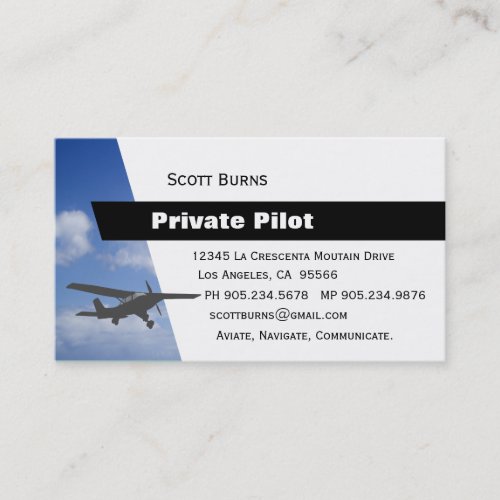 Aviation Pilot Business Card