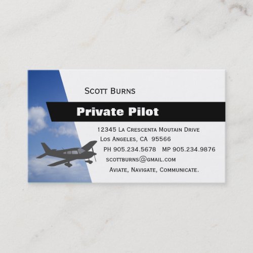 Aviation Pilot Business Card