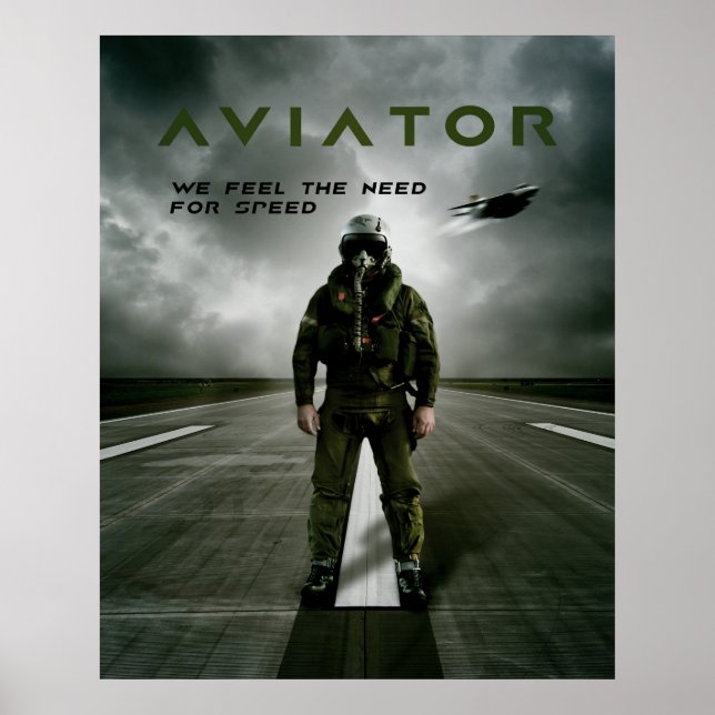 Aviator Fighter Pilot Poster (Front)