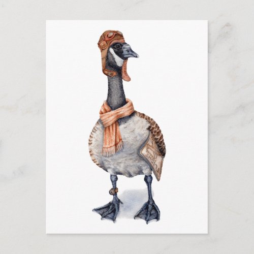 Aviator Goose Postcard