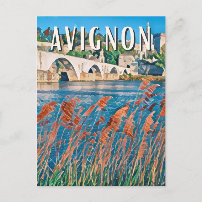 Avignon Photo Vintage Postcard (Front)