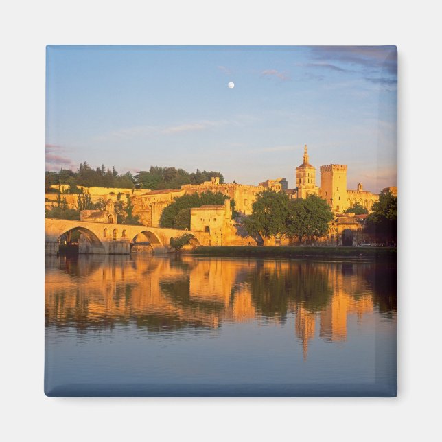 Avignon, Vaucluse, Provence, France, Rhone Magnet (Front)
