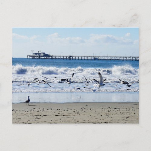Avila Beach Postcard