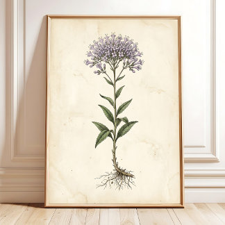 aVintage Botanical Farmhouse Wall Art Canvas Print