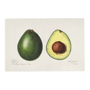Avocado and Zapote Placemat