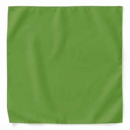 Avocado Green Bandana