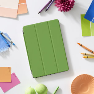Avocado Green iPad Pro Cover