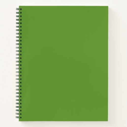 Avocado Green Notebook