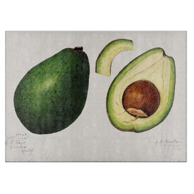 Avocado Illustration Cutting Board (Front)