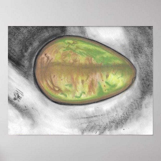 Avocado - oil pastel still life canvas- poster (Front)