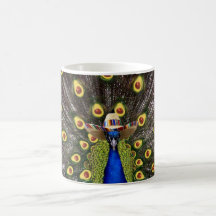 Avocado Peacock 11oz