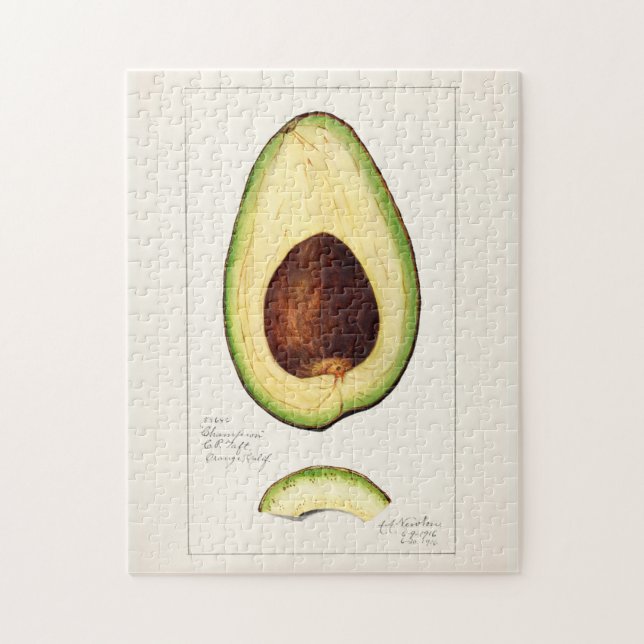 Avocado (Persea) Fruit Watercolor Painting Jigsaw  Jigsaw Puzzle (Vertical)