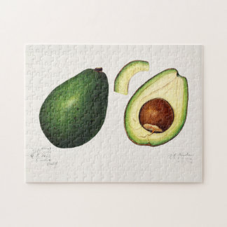 Avocado (Persea) Fruit Watercolor Painting Jigsaw Puzzle