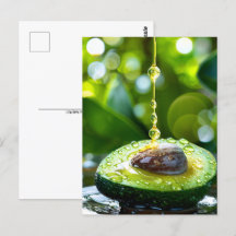 Avocado, Postcrossing