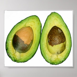 avocado poster