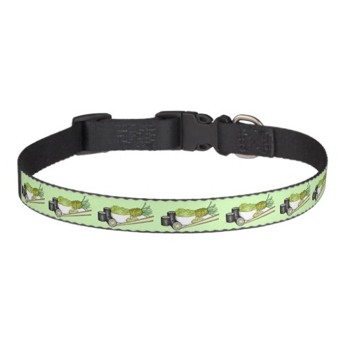 Avocado Rolls Wasabi Sushi Japanese Food Dinner Pet Collar