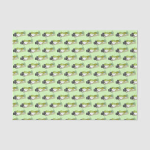 Avocado Rolls Wasabi Sushi Japanese Food Dinner Tissue Paper