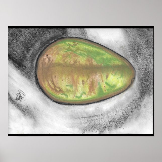 Avocado still life pastel poster (Front)
