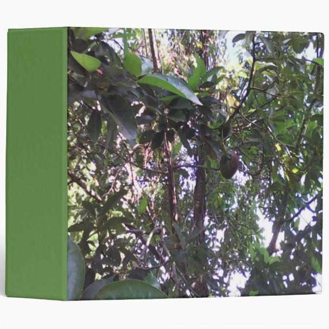 Avocado Tree 3 Ring Binder (Front/Spine)