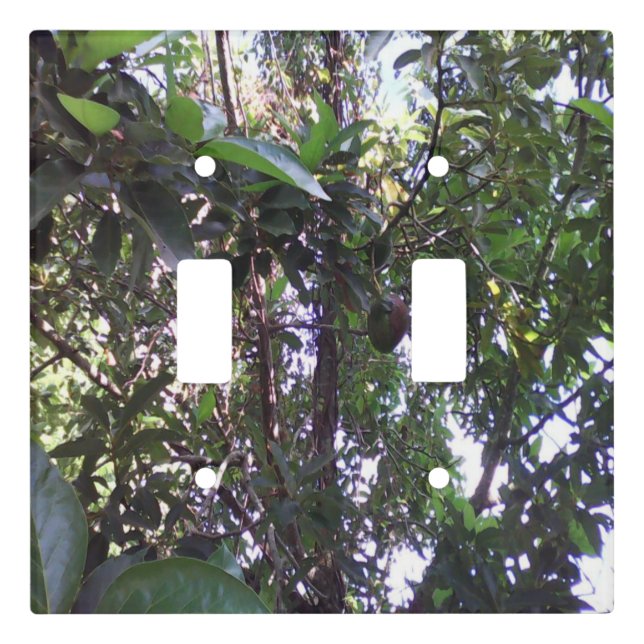 Avocado Tree Light Switch Cover (Front)