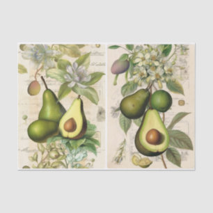 Avocados tissue paper