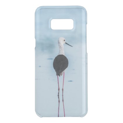 Avocet bird, stilt bird uncommon samsung galaxy s8+ case