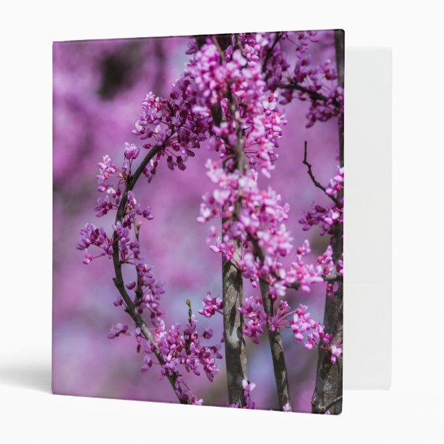 Avondale Redbud Art 3 Ring Binder (Front/Inside)