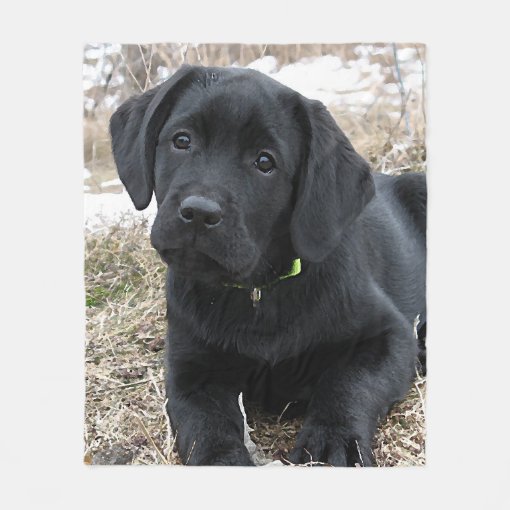 Awaiting Spring Labrador Puppy Black Lab Fleece Blanket Zazzle