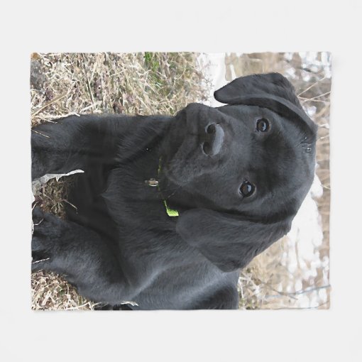 Awaiting Spring Labrador Puppy Black Lab Fleece Blanket Zazzle