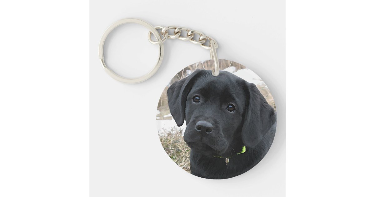 Awaiting Spring - Labrador Puppy - Black Lab Keychain | Zazzle