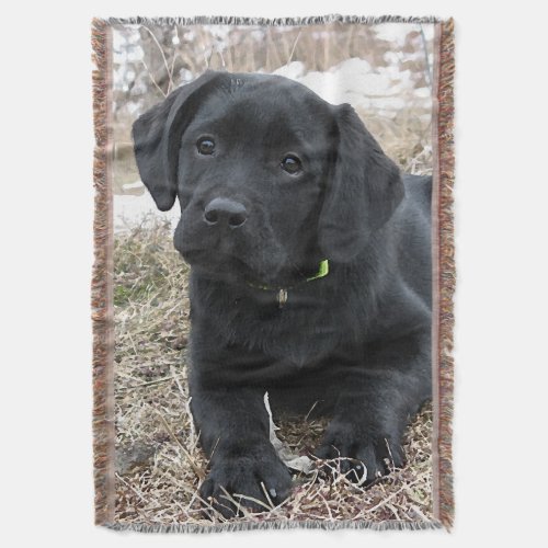 Awaiting Spring _ Labrador Puppy _ Black Lab Throw Blanket