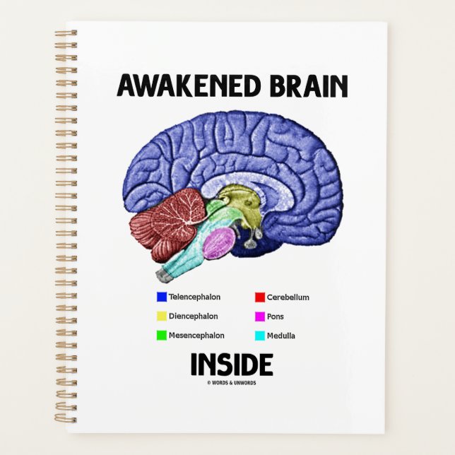 Awakened Brain Inside Brain Anatomy Geek Humor Planner (Front)