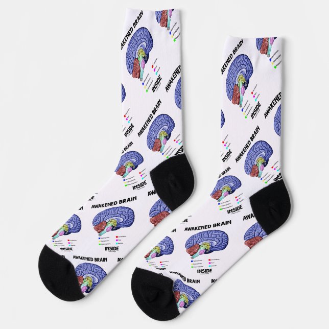 Awakened Brain Inside Brain Anatomy Geek Humor Socks (Left)